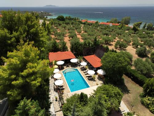 an aerial view of a resort with a swimming pool at Agrili Apartments & Rooms in Elia