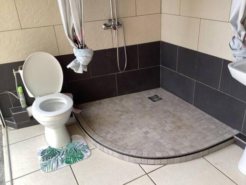 a bathroom with a shower with a toilet and a sink at Appartement dans propriété reposante in Saint-Benoît