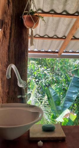 a bathroom sink in front of a tree at Mizu Spa & Hospedagem in Alter do Chao