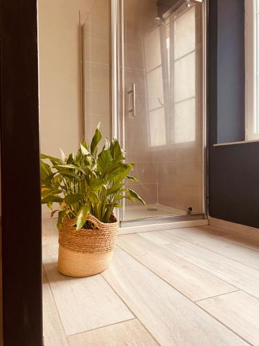 a plant sitting on the floor in front of a door at Le 8 in Romorantin