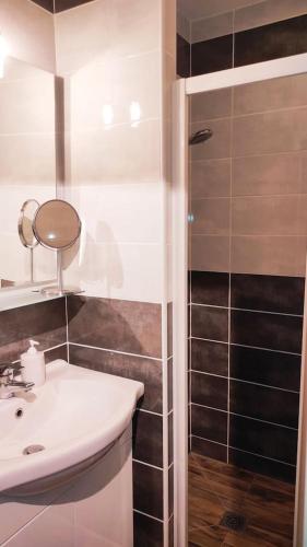 une salle de bain avec un lavabo et une douche dans l'établissement GRAND LOGIS DES CHOUETTES, 5 chambres, proche de Verdun et ses sites de la grande guerre, à Châtillon-sous-les-Côtes