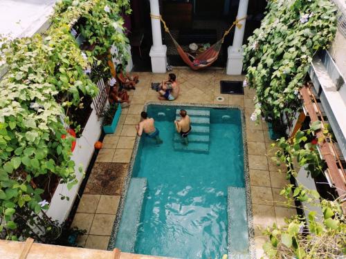 a group of people in a swimming pool at Baboon Hostel in Santa Marta