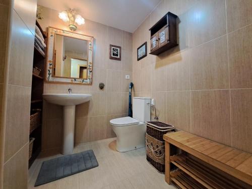 a bathroom with a toilet and a sink and a mirror at WIFI COMO EN TU CASA Canfranc Estación in Canfranc-Estación