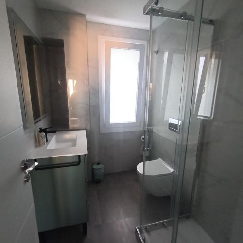 a bathroom with a shower and a toilet and a sink at Rincón Gótico in Burgos