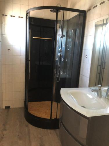 ein Bad mit einer Dusche und einem Waschbecken in der Unterkunft Villa 10 pers +Piscine + parking in Lattes
