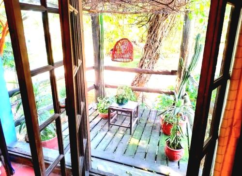 LA ESTANCIA HOSTEL COLONIA في كولونيا ديل ساكرامينتو: شرفة خشبية مع نباتات الفخار وطاولة