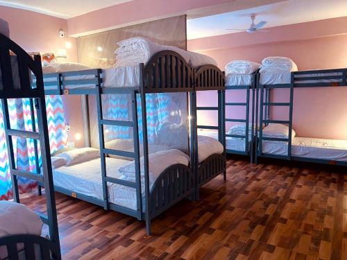 a group of bunk beds in a room at Milam Hostel in Leh