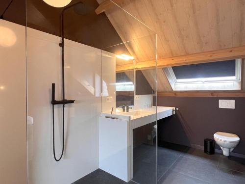 een badkamer met een douche, een wastafel en een toilet bij Achter de Hegge in Riemst