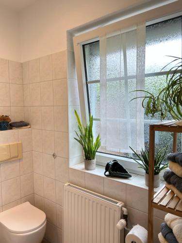 een badkamer met een toilet en een raam met planten bij mooihusen in Norden