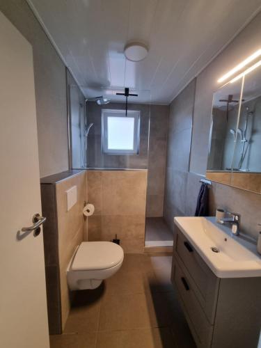 a bathroom with a white toilet and a sink at Ferienwohnung zum Hufi in Dahn