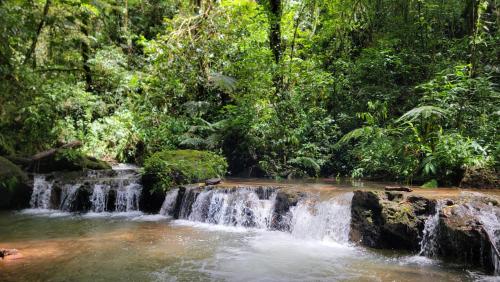 a waterfall in the middle of a jungle at Poas Volcano & La Paz Waterfall Cabins in Montaña Azul