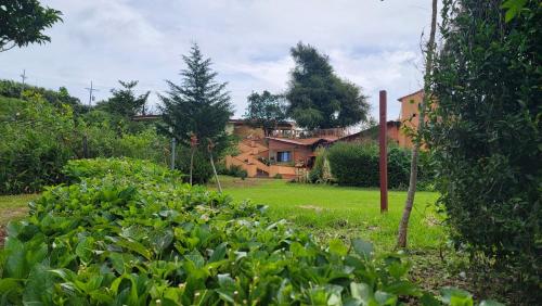 a yard with a house in the background at Poas Volcano & La Paz Waterfall Cabins in Montaña Azul