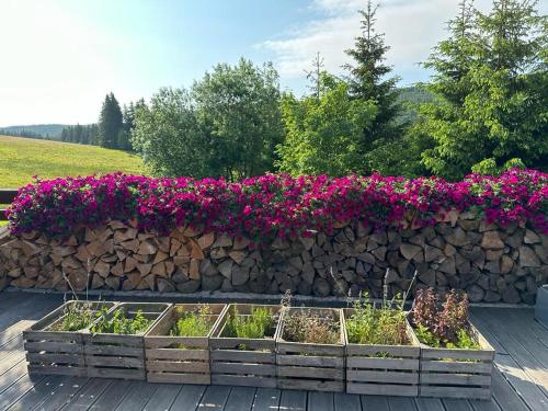 a garden with purple flowers on a stone wall at Hotel Oddech in Pec pod Sněžkou