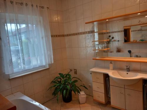 een badkamer met een wastafel en een potplant. bij Wohlfühloase in Suhl