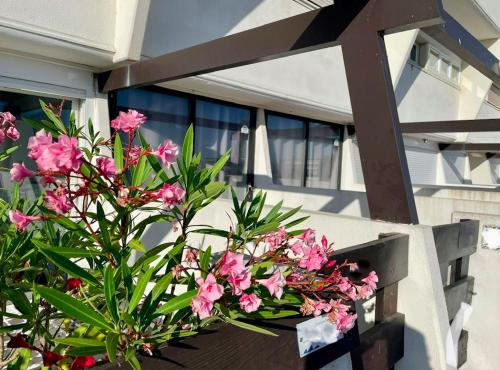 Cap d'Agde Naturist Exclusive Studio