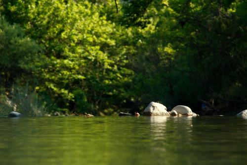 a group of rocks in the water with trees in the background at katafygio-oiti in Pávliani