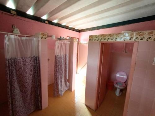 a pink bathroom with a toilet and a shower at Sitio em Santa Isabel Recanto da Tranquilidade in Santa Isabel