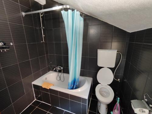a bathroom with a toilet and a blue shower curtain at Apartment Crocus of Rafailovici in Budva