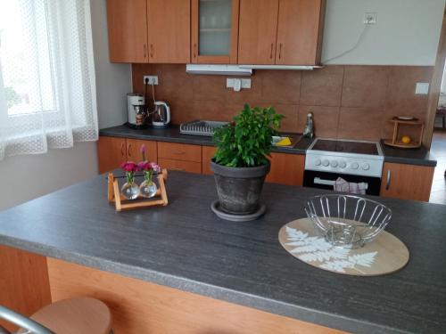a kitchen with a counter with a plant on it at Apartmány Jablunkov in Jablunkov