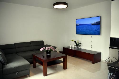 Μια τηλεόραση ή/και κέντρο ψυχαγωγίας στο Apartament u Joli