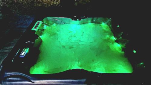 a close up of a large green piece of stone at Domaine de la Font Vineuse & Spa in Saint-Pierre-dʼArgençon