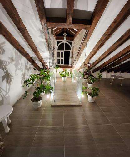 a hallway with potted plants in a room at Luxury Mansion Sant Serrant Cerca Aeropuerto Medellín Guatapé in Marinilla