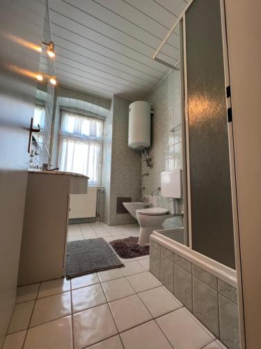 a bathroom with a shower and a sink and a toilet at AUSZEIT im HERZEN von VILLACH in Villach