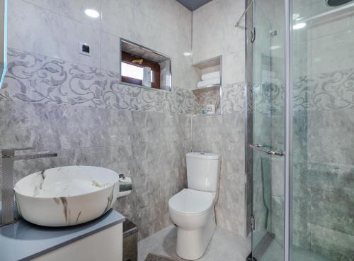 een badkamer met een wastafel, een toilet en een douche bij Hotel Home+ in Tsalka