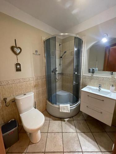 Bilik mandi di Villa Regina - Spokojna okolica - 100 metrów od lasu - blisko szpitala