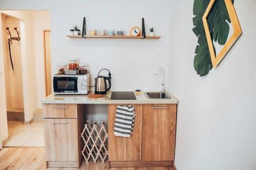 a kitchen with a counter with a microwave and a sink at Studio Viola in Kraków