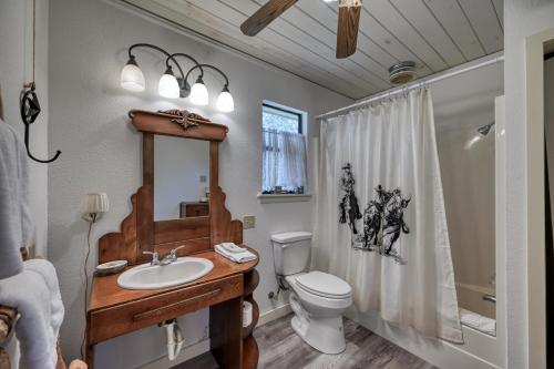 ein Badezimmer mit einem Waschbecken, einem WC und einem Duschvorhang in der Unterkunft StunningHome on The Blanco River in Blanco