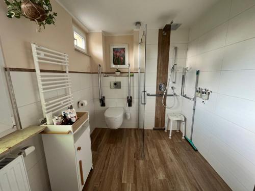 een badkamer met een toilet en een douche. bij Ferienwohnung Bille in Pirna