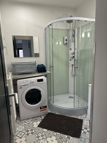 une salle de bain avec douche et machine à laver dans l'établissement Superbe maison 4 personnes avec Vidéo-projecteur, à Amiens