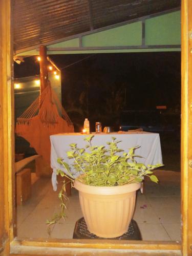 Galeriebild der Unterkunft Hone sweet Hone (Piscine) in Hone Creek