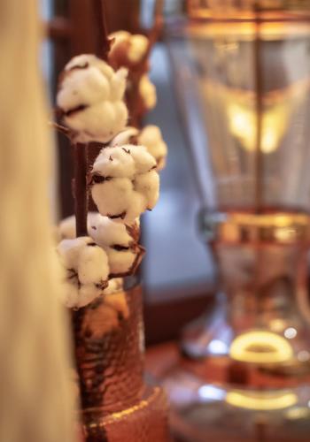 a bunch of food on a stick in a vase at Apartamenty Sowa Toruń in Toruń