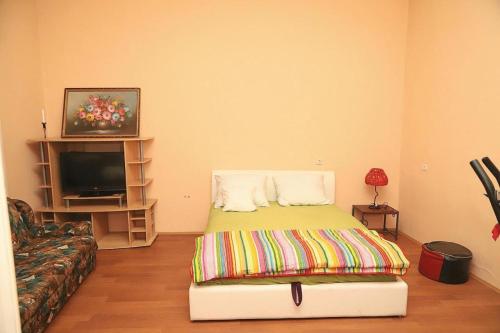 een slaapkamer met een bed, een bank en een televisie bij Cvet in Bela Crkva