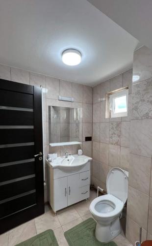 a bathroom with a toilet and a sink at Casa Viorica -Botoș in Ciocăneşti