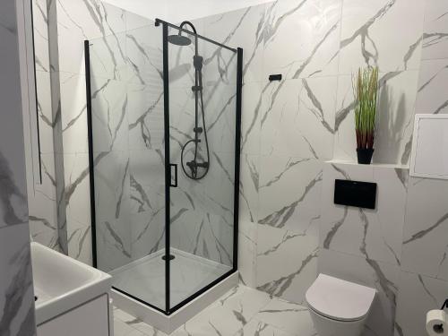 a shower with a glass door in a bathroom at Apartamenty Przy Deptaku in Świnoujście