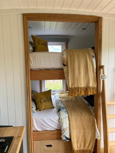 a bedroom with bunk beds in a tiny house at Cwtch Cader Shepherds Hut in Llanelltyd