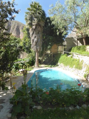 una piscina en un patio con una palmera en Sangalle Cielo Lodge, en Malata