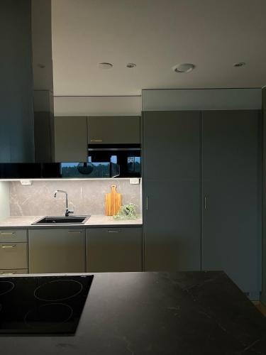 a kitchen with a sink and a counter at Tikka Apartments in Jyväskylä