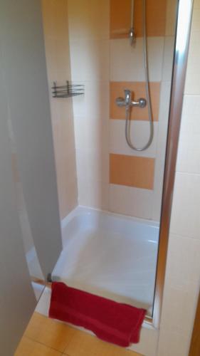 a bathroom with a shower with a red towel at Willa Gracja in Wisła