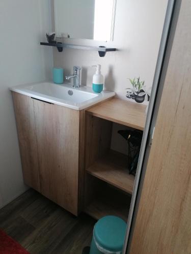 une salle de bain avec un lavabo et un miroir dans l'établissement Bora-Bora, à Vias