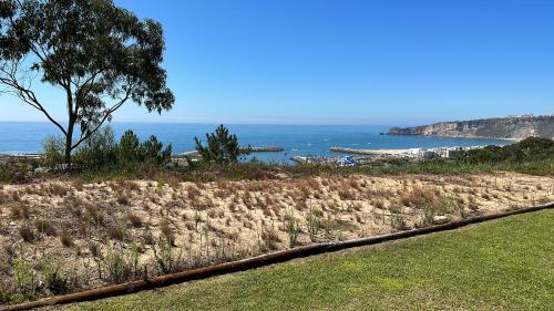 a view of a beach with a tree and the ocean at Atlantic view in Nazaré