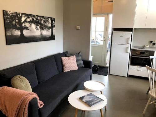 a living room with a blue couch and a table at Adorable one bedroom apartment with free parking. in Reykjavík