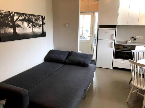 a living room with a couch and a kitchen at Adorable one bedroom apartment with free parking. in Reykjavík