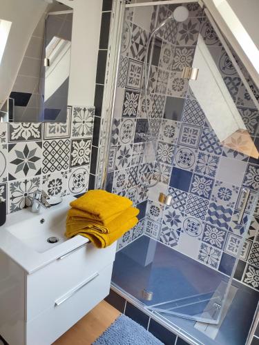 un baño con lavabo y ducha en Confortable appartement au centre de Sélestat, en Sélestat