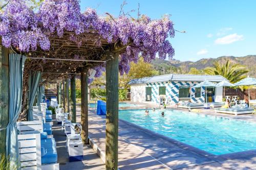 una piscina con glicinas púrpuras colgando de una pérgola en Calistoga Motor Lodge and Spa, a JdV by Hyatt Hotel en Calistoga