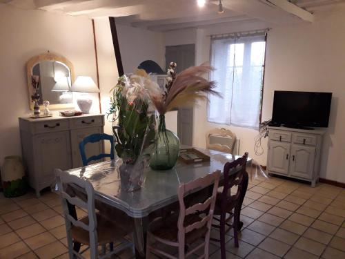 Μια τηλεόραση ή/και κέντρο ψυχαγωγίας στο Maison chaleureuse avec cheminée des coudrais