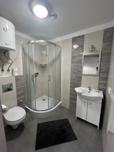 a bathroom with a shower and a toilet and a sink at Domki Apartamenty Akacja in Sianozety